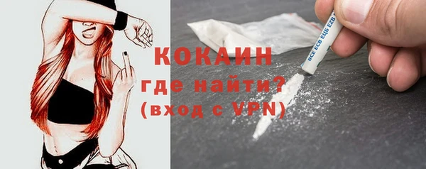амф Краснослободск