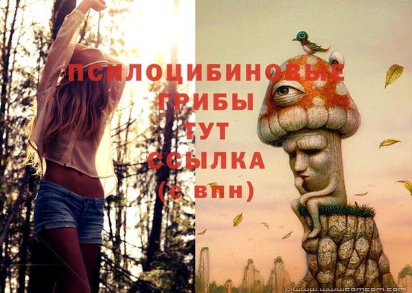 винт Красноперекопск