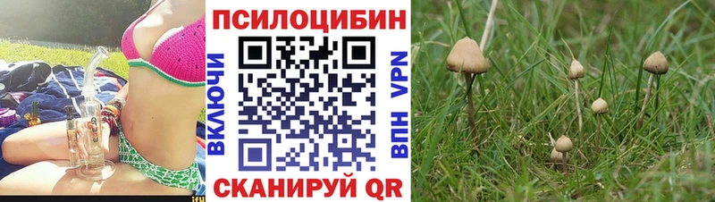 купить наркоту  Алдан  Галлюциногенные грибы MAGIC MUSHROOMS 